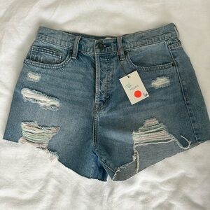 Hidden Brand Distressed Shorts